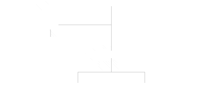 President-Board of Directors-Auditor-Managing Director-Exhibition Team,Management Support Team